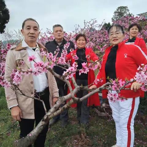 《桃花故里游专缉》