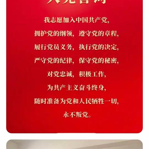 禾丰村党支部庆祝“建党100周年”活动