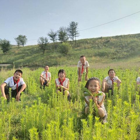 小学一年级去哪上？带您一探连村小学（副本）