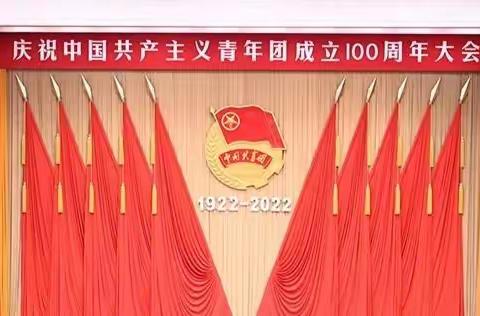 百年奋进 青春有我