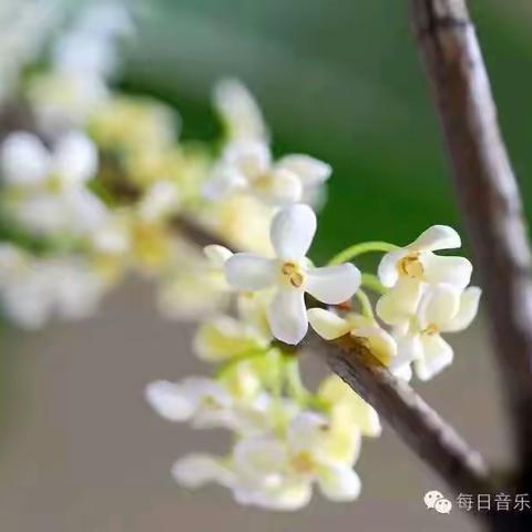 教师节:一首《奉献》祝福老师们!文/我行我素