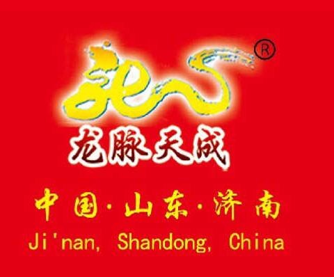 龙脉天成集团！