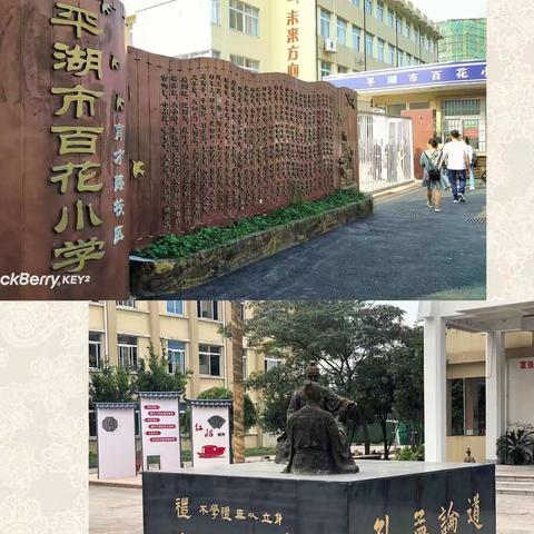 百花齐放，精彩纷呈——2019下半年基于精准教学的小学语文90学分培训纪实（二）