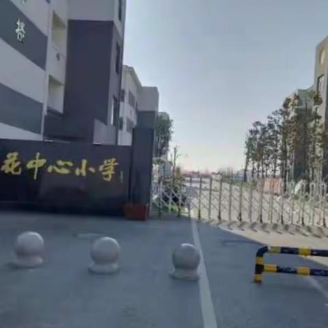 同课异构   同放异彩——梅花小学“同课异构”活动纪实