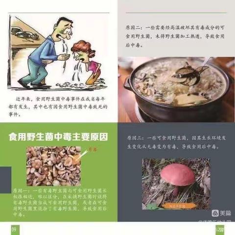 回龙镇周家幼儿园【禁食野生菌、野生果宣传教育】