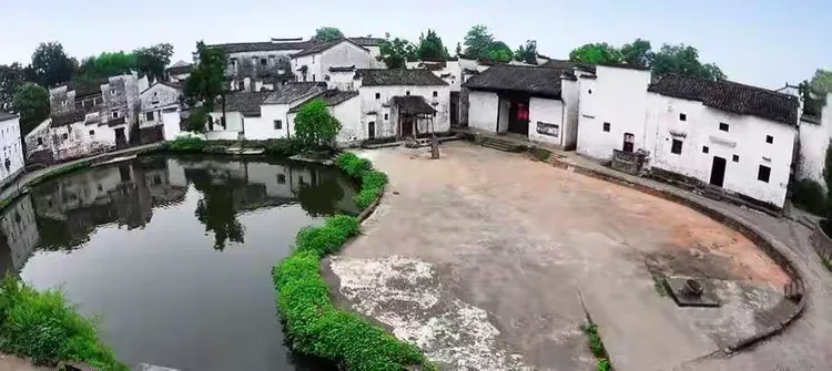 兰溪杨梅在什么地方种植
