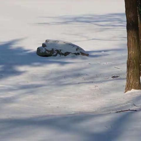 大连高新诗文•古诗词—34期