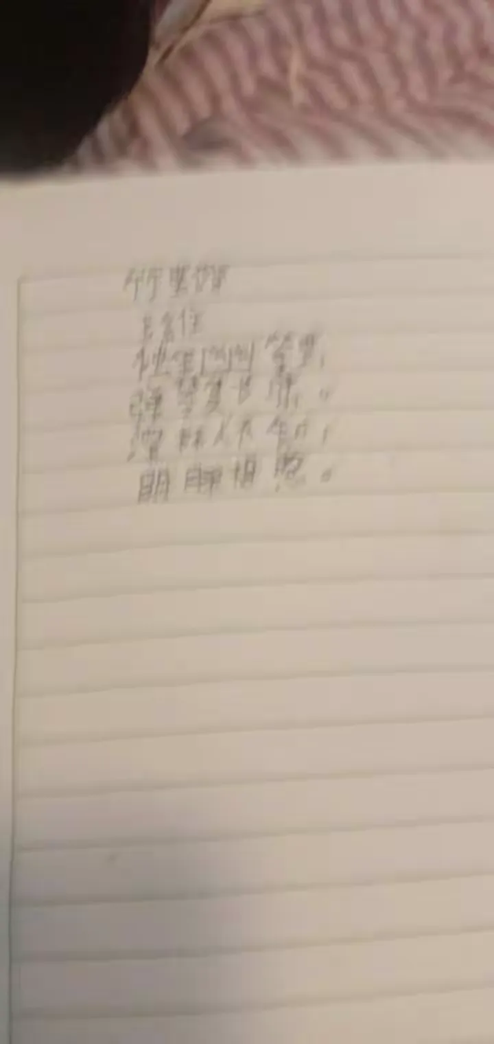 c类：书写欠认真，没有按格式要求来临写，完成作业任务的思想居多。