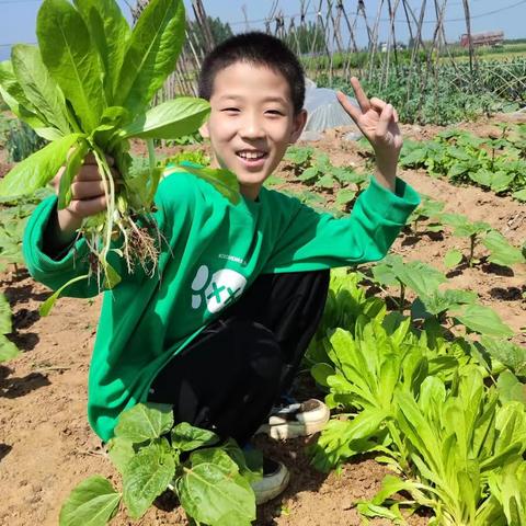 五一劳动节之劳动光荣