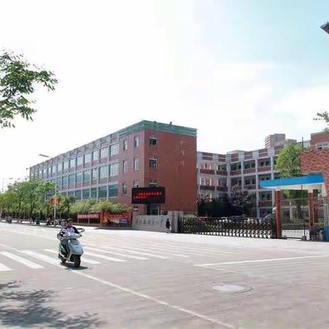 庆元县城东小学：集团联盟“抱团”前行，拓展课我们是认真的