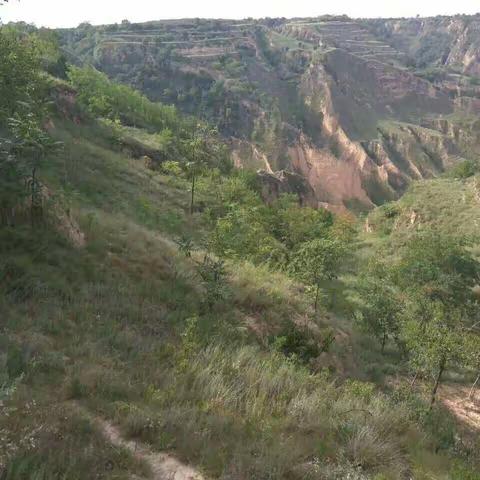 庆阳行——高红岩