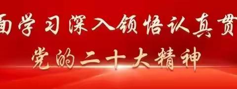 新城铺学校党支部：多种形式宣传党的二十大精神