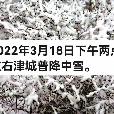 津城的春分时节《雪纷飞》