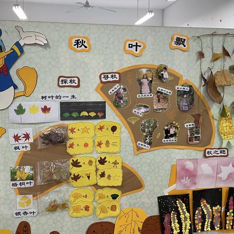 小环境中隐藏着大世界