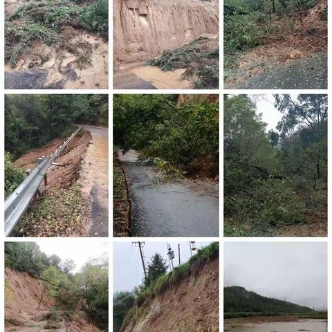 西坡林场众志成城抢险救灾