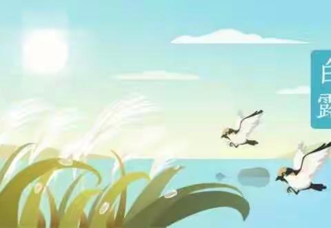 常青藤国际幼稚园2⃣️4⃣️节日之白露|凉意渐浓露凝而白