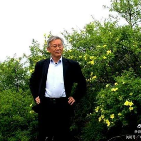 古鄂历史源远流长，才子庄园奥秘无穷