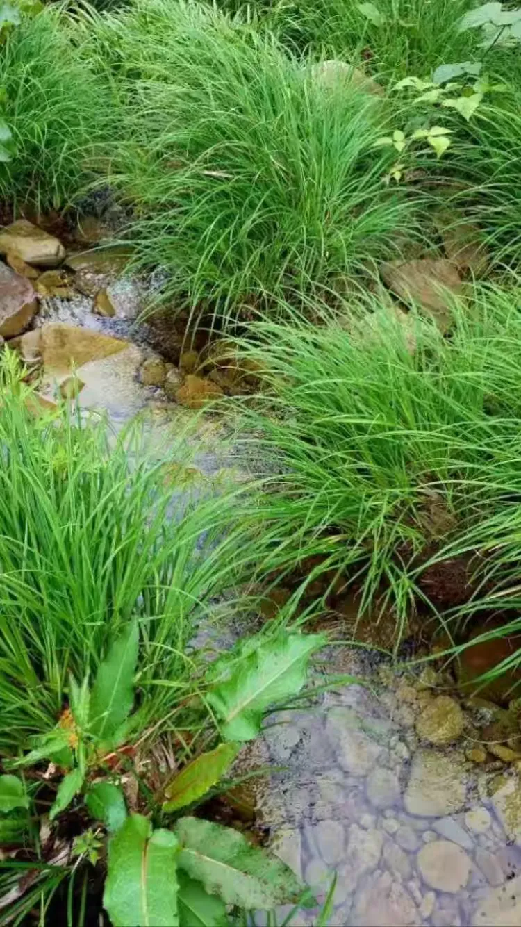 石柱县黄水镇天气预报在线