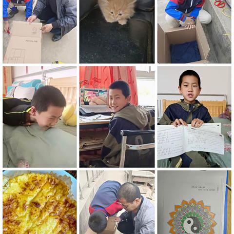 幸福成长日记第2706篇……欢迎橙橙小猫咪的到来。