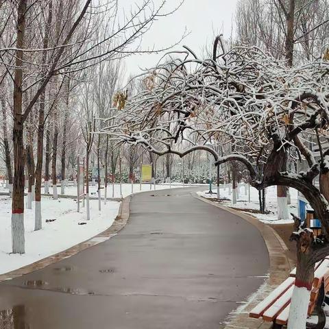 春雪
