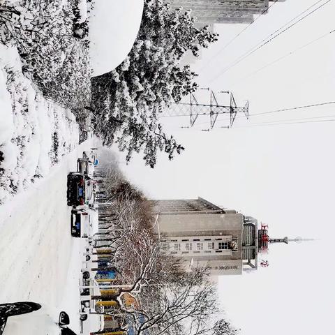 固原市动用大型器械对街道、广场、公园的积雪进行清理！