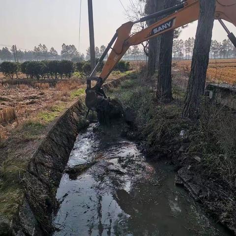 加快建设进度，保障来年粮食生产