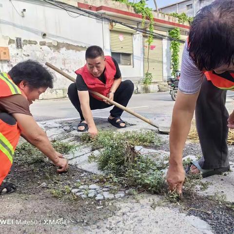 顺城关村持续卫生清理工作