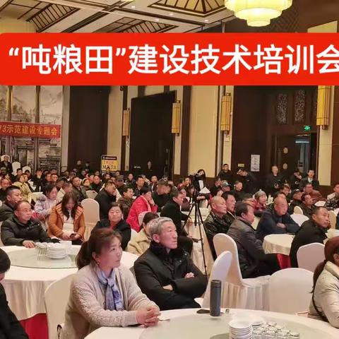 湖北田管家种业有限公司大力开展以玉米新品种推广为核心的“吨粮田”建设活动！