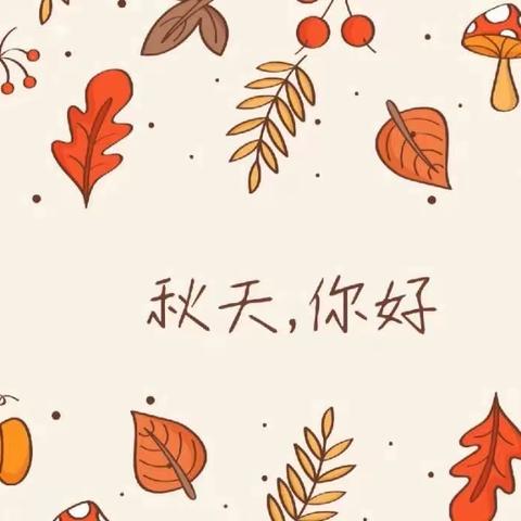 🍂 落叶•知秋—清港新世纪幼儿园中班组