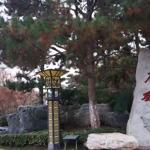 初冬的西安唐苑