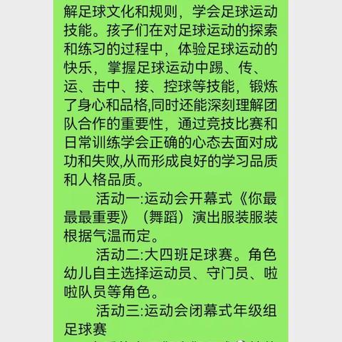 主题“足球嘉年华”下的收获与感悟