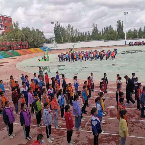 如树应安住的美篇