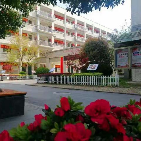 复学正逢春光好 菁菁校园等你归---合肥新城高升学校初二学生返校侧学记