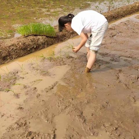 (兴福小学)劳动大比武，都来看看我的绝技！