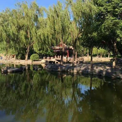 《夏夢煙雨詞》孫健 丙申年立夏