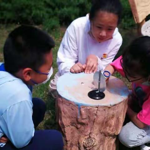 “双减”在行动 |坚守高效课堂，培养科学思维                --葫芦岛市第二实验小学科学实践课纪实