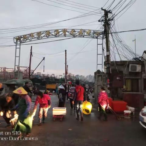 渔港晨嚣