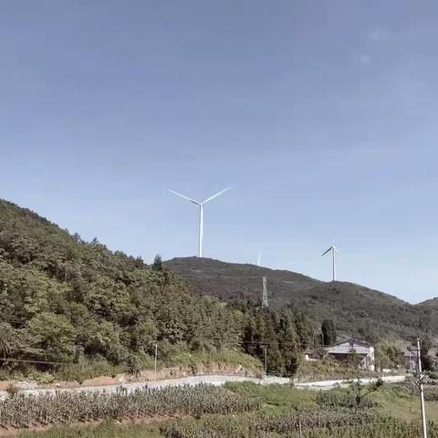 盛夏戏风电