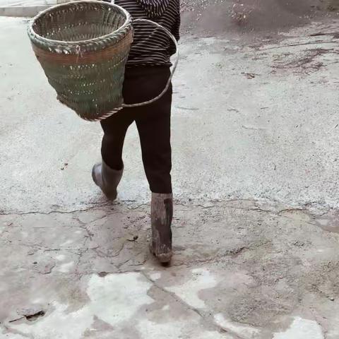 （农忙丰收）征稿  N0：6，     初伏最后一天