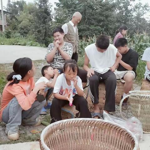（农忙丰收）征稿N0：2，  丰收夕阳间