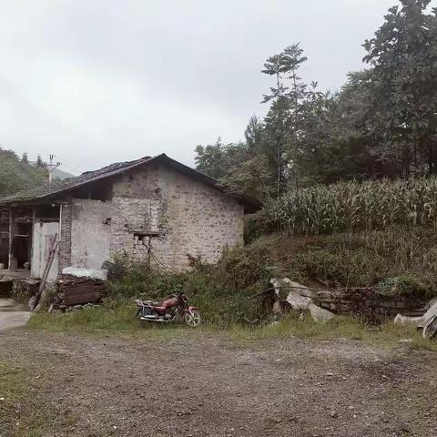 怪汉袁二
