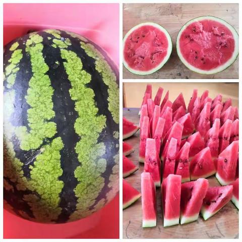 今天你吃瓜了吗？🍉