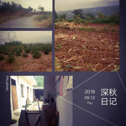 🍁🍁 四季变幻之秋，共谱扶贫之曲🍁🍁