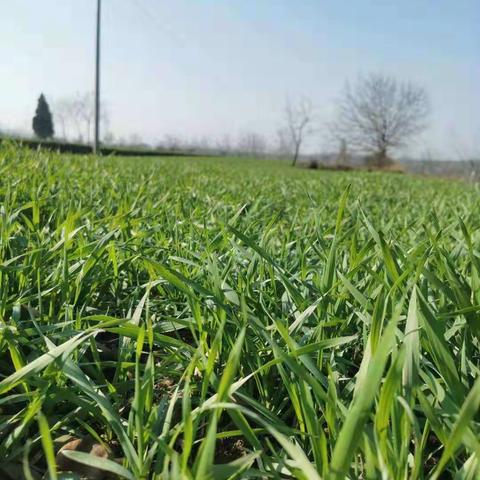 🌺扶贫路上的平凡人生🌺