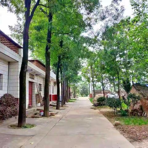 ❤️将爱传递，从你我做起！❤️