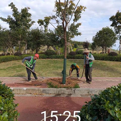 【寻乌久久园林】11月顺利完成冬季苗木补栽工作