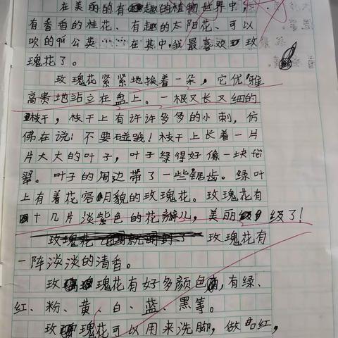 1-8单元习作