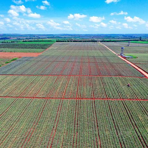 红星农场采风记