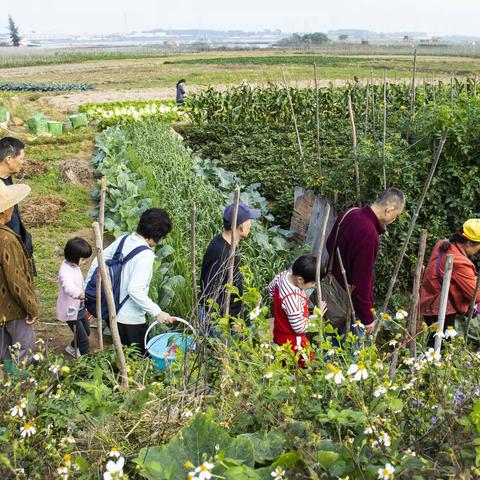 看看农村新面貌