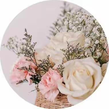 孕见▪不凡女神--3.8节活动福利来了